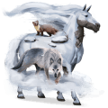 pony-eenhoorn shetlander roan