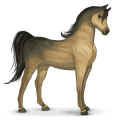 zonnestelsel paard venus