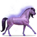 paard van de regenboog brave purple