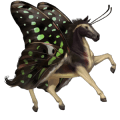 rijpaard lusitano wildkleur