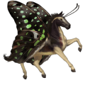 rijpaard-eenhoorn donkerbruin
