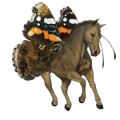 rijpaard lusitano wildkleur