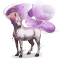 wind paard zephyrus