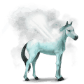 water paard geiser