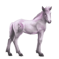 goddelijk paard greyfell   5
