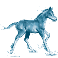 water paard oceaan