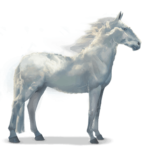 water paard wolk