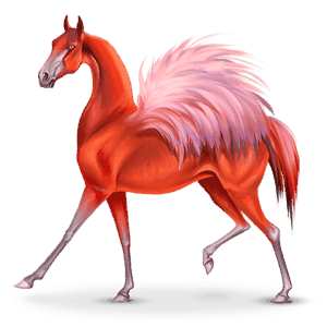 vogel dwalend paard phoenico