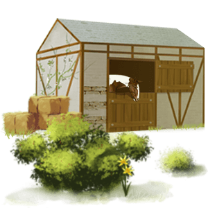 pony shetlander kastanje