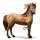 beschaving dwalend paard  cochise