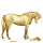 dwalend paard fortune