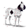 dwalend paard wegloper