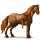 rijpaard-eenhoorn fries zwart