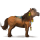 rijpaard kwpn lever kastanje