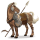 dwalend paard sandalenfilm
