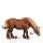 dwalend paard pioneer