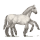 wit sleipnir
