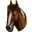 dwalende paarden