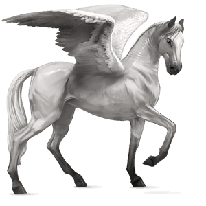 rijpaard-pegasus akhal-teke lichtgrijs