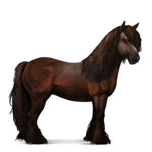 rijpaard lusitano donkerbruin