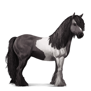 rijpaard lusitano donkerbruin