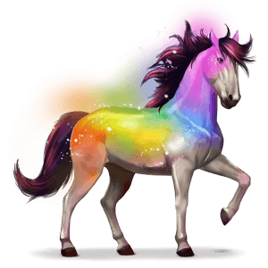 paard van de regenboog secret rainbow