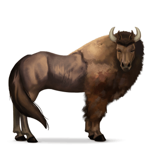 wild paard bizon