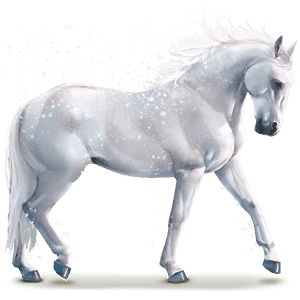 water paard snowflake