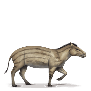 prehistorisch paard hyracotherium