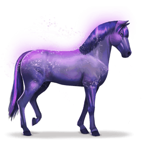 paard van de regenboog devoted indigo