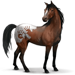wild paard spaanse mustang