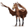 vogel dwalend paard aquila